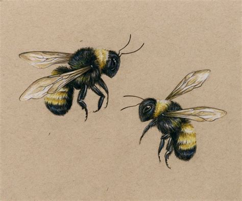 Flying Bee Drawing at PaintingValley.com | Explore collection of Flying Bee Drawing