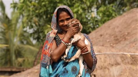 In Rural India, Women Lead the Way to Improve Livelihoods - YouTube