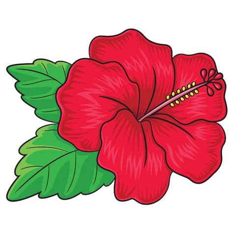 Premium Vector | Hibiscus flower cartoon | Hibiscus flower drawing ...