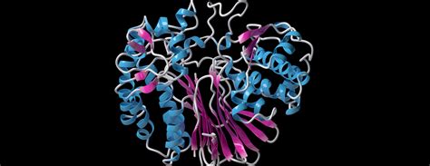 Gamma-glutamyl transferase (GGT) blood test