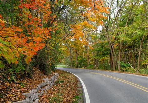 Fall in Ann Arbor, Michigan: Photos