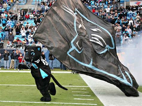 10 Reasons Why Being A Carolina Panthers Fan Rocks