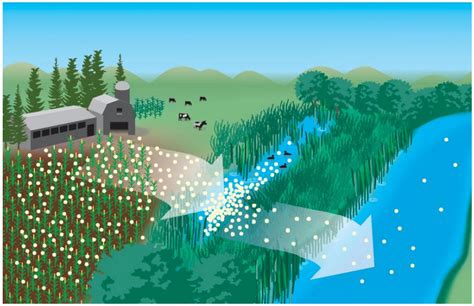 Watersheds - Mr. Sanchez Science