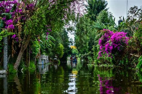 Tour por los barrios de Xochimilco y Coyoacán, Ciudad de México