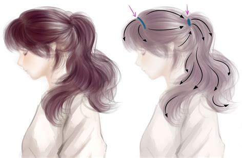 How To Draw A Low Ponytail From The Front - josefinromskaugdrommen