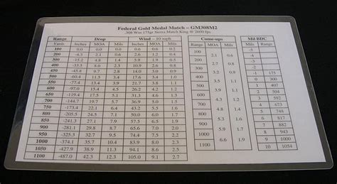 Long Range Shooting - Intro to Ballistic Tables | The Arms Guide