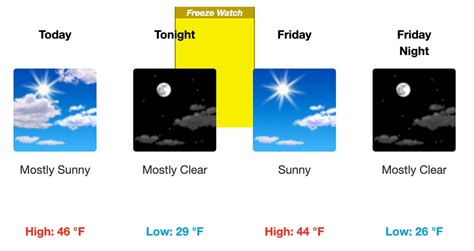 Freeze watch in effect Thursday night, Friday morning as New York ...