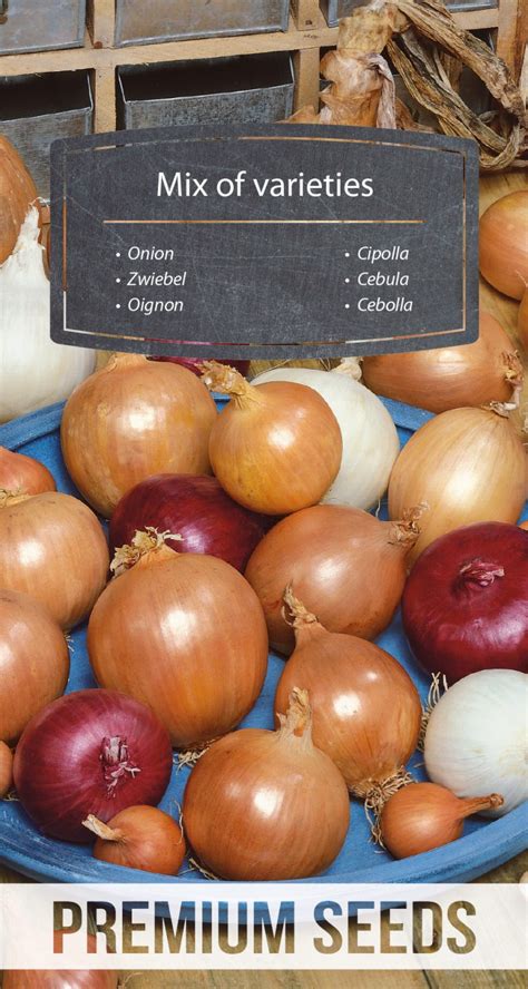 Onion - mix of varieties - PremiumSeeds – producer of seeds