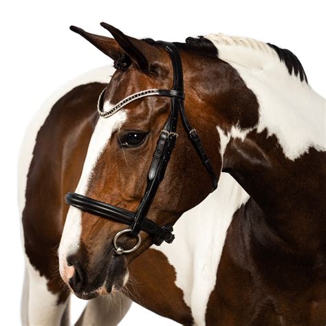 Dressage Bridles | Quality Equestrian Gear | Flexible Fit Equestrian LLC