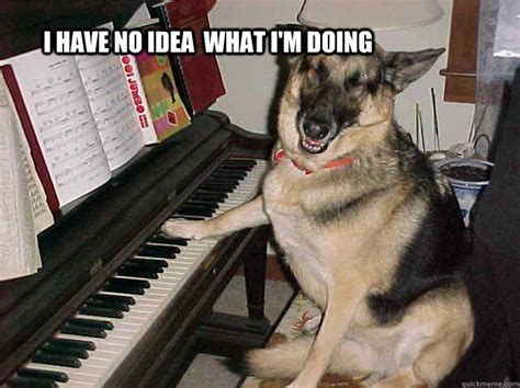 Dog Plays Piano memes | quickmeme