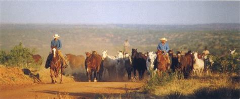 The Pitchfork Ranch - Bird Country Resorts