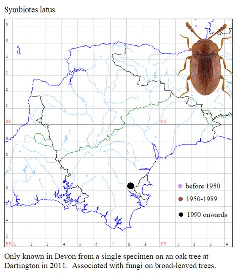 Endomychidae – The Devonshire Association