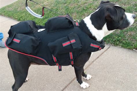 Weighted Dog Vest | CANINE WEIGHT SET®