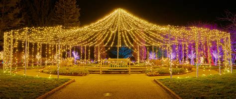 Winter Lights | Minnesota Landscape Arboretum Chaska, Minnes… | Flickr