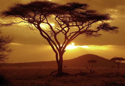 Must visit places in Tanzania