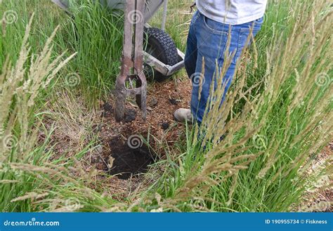 Digging a Pole Hole for a New Fence Stock Photo - Image of outside ...