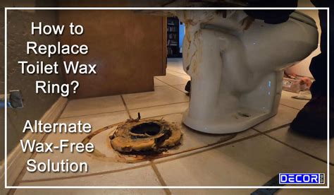 How to Replace a Toilet Wax Ring? [Wax Free Solution] - Decor Bug