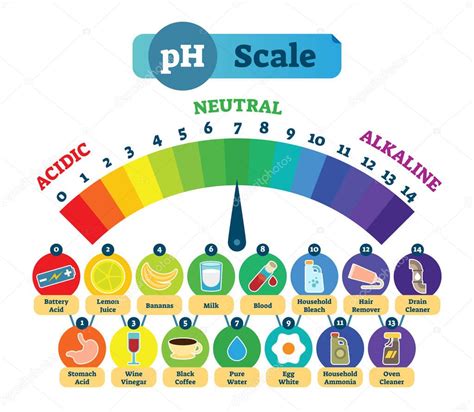 PH Acid Scale Vector Illustration Diagram with Acidic, Neutral and ...