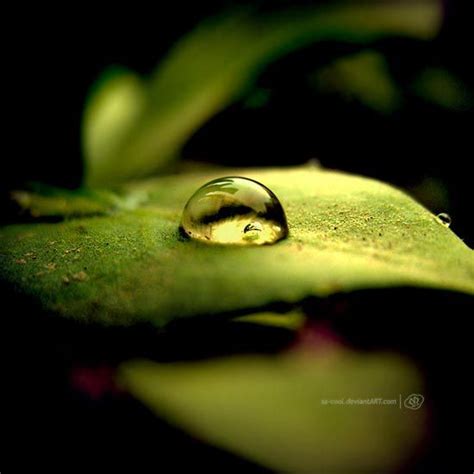 40 Macro Photography of Water Drops | Water drop photography, Macro photography examples, Macro ...