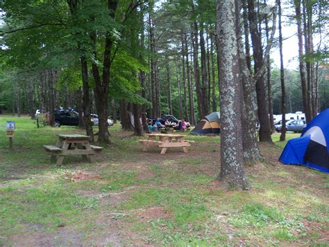 Blue Mountain Campground - Passport America Camping & RV Club