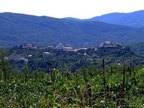 Abruzzo National Park