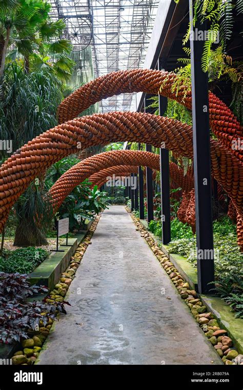 Plants and flowers of sky garden Stock Photo - Alamy