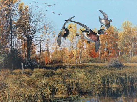 "Backwater" -Waterfowl Paintings Waterfowl Paintings by Scot Storm ...