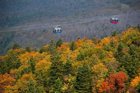 10 Famous Japanese Mountains to Visit in Autumn | Kyuhoshi