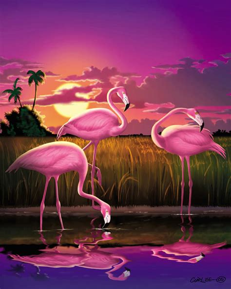 Flamingoes Flamingos Tropical Sunset Landscape Florida Everglades Large Hot Pink Purple Print ...