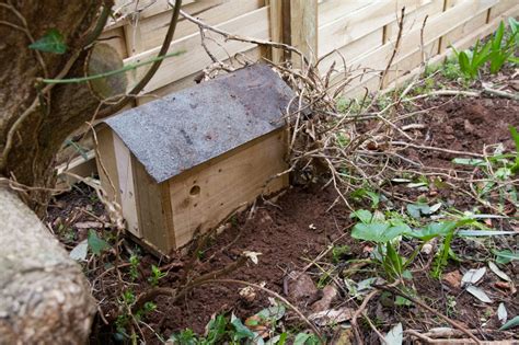 NestBoxTech: Bumblebee nest box