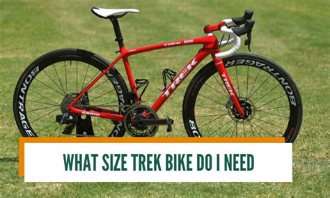 What Size Trek Road Bike Do I Need