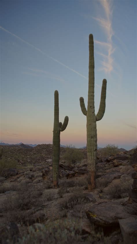 South Mountain Park and Preserve | Phoenix, AZ South Mountain, Mountain Park, Next Us, Desert ...