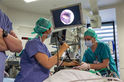 Sleep endoscopy - Stock Image - C034/4331 - Science Photo Library