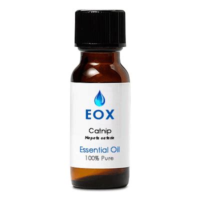 Catnip Essential Oil | EOX Oils