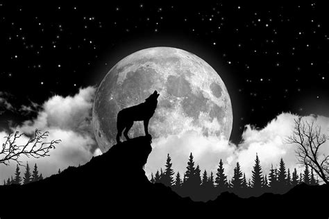 Werewolf Howling At Moon