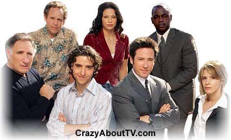 Numb3rs TV Show | Numbers tv show, Television show, Sabrina lloyd