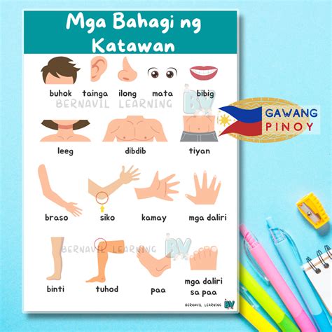 Parts of the Body Chart | Filipino/ Tagalog Laminated Educational Chart ( Mga Bahagi ng Katawan ...