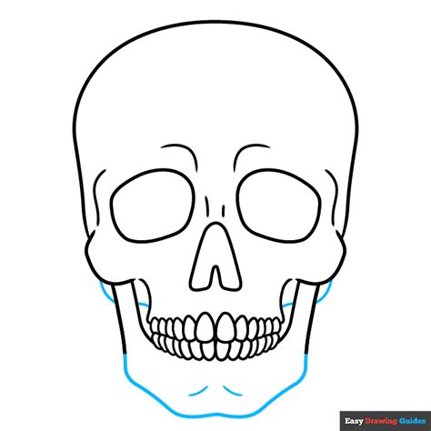 How to Draw a Realistic Skull - Really Easy Drawing Tutorial