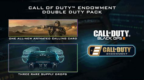 Call of Duty®: Black Ops III - C.O.D.E. Double Duty Pack on Steam