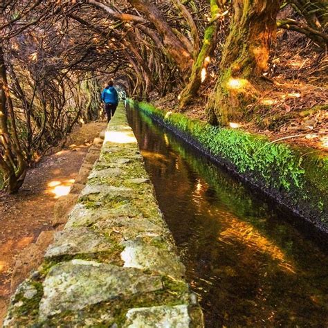 20 best levada walks madeira ranked by difficulty – Artofit