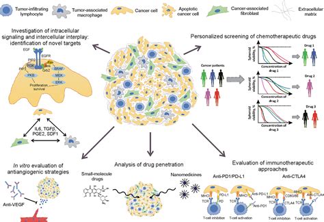 Frontiers | Biomedical Applications of Non-Small Cell Lung Cancer Spheroids