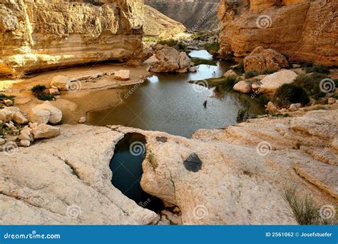 Water In The Desert Stock Photography - Image: 2561062