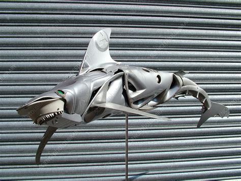 Shark sculpture - Stock Image - T820/0357 - Science Photo Library