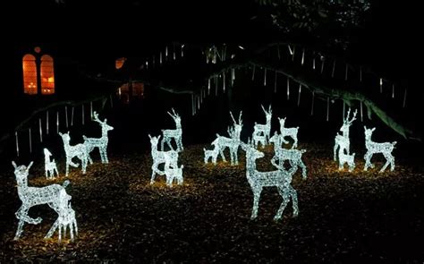 Luminate light trail confirmed for return to Margam Park with dates and ...