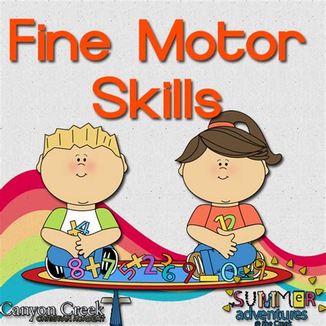 Activities to Develop Fine and Gross Motor Skills in Children: Definition of Fine and Gross ...