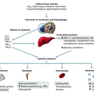 Comparison of the clinical features of neuroleptic malignant syndrome... | Download Table