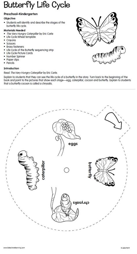 Pin on teaching