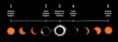 5 Stages of a Total Eclipse - Solar Eclipse Guide