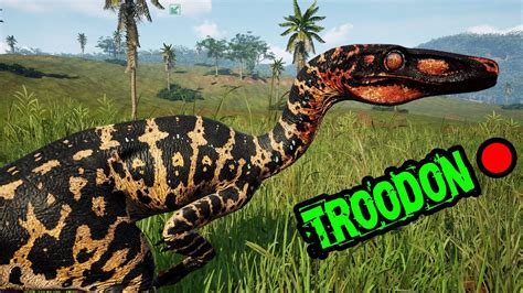 🔴LIVE - Troodon trouble!! | 6.5 stress test | The Isle Evrima - YouTube