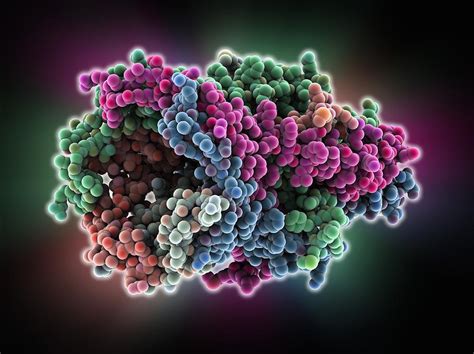 MscL ion channel protein structure Photograph by Science Photo Library ...